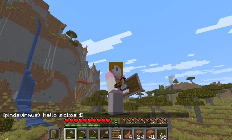 minecraft player character from the front, mountain with little mountain terrace from akazia wood in the back, waterfall on mountain.
