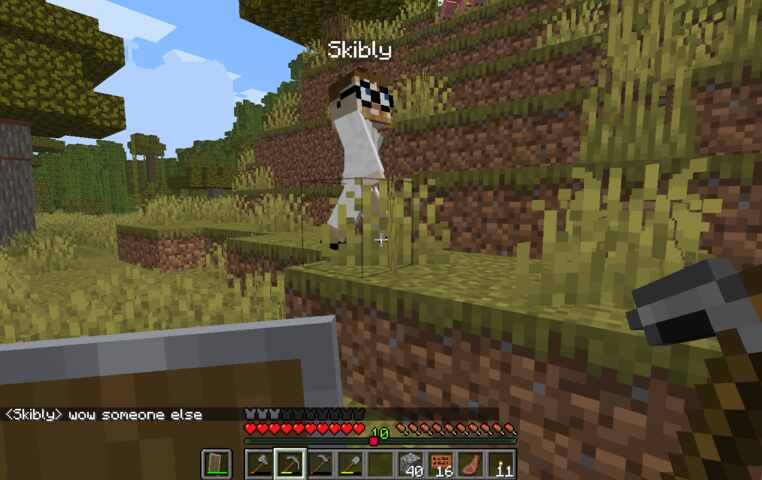 another player character among minecraft grass blocks