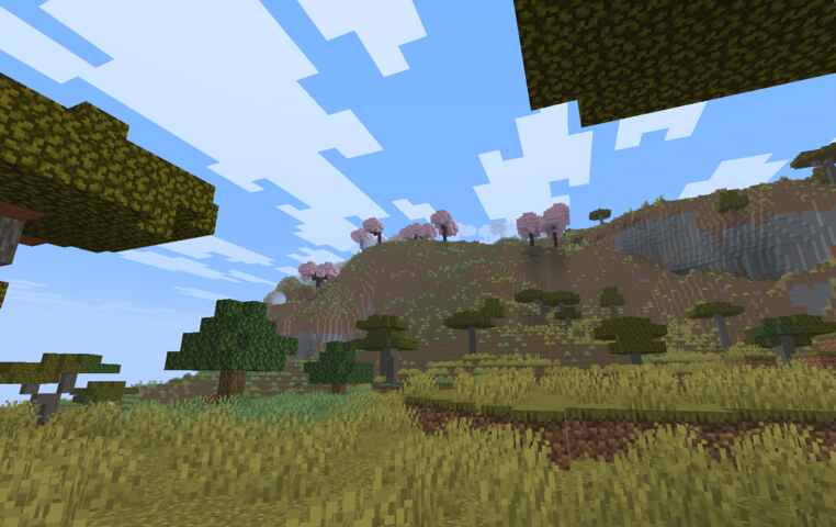 hill with pink cherry trees