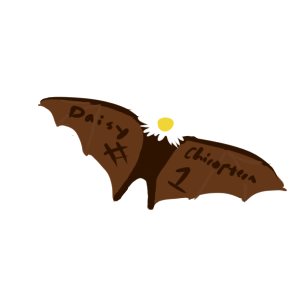 daisy bat