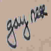 cursive handwritten 'gay sex'; stub nib