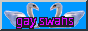 two swans with the text 'gay swans'