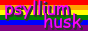 animated text 'psyllium husk' on rainbow background