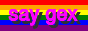 rainbow flag background with text 'say gex'