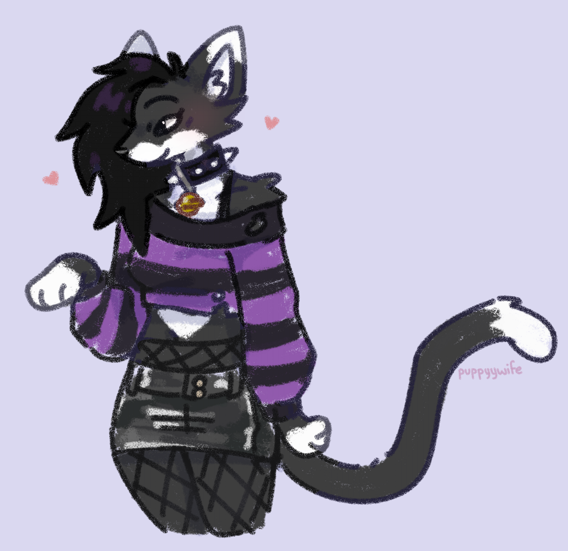 my beautiful kitty sona