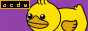 88x31 badge with a cute yellow duck on purple background, www.acdw.net badge