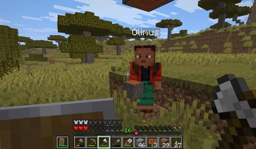 minecraft character of him