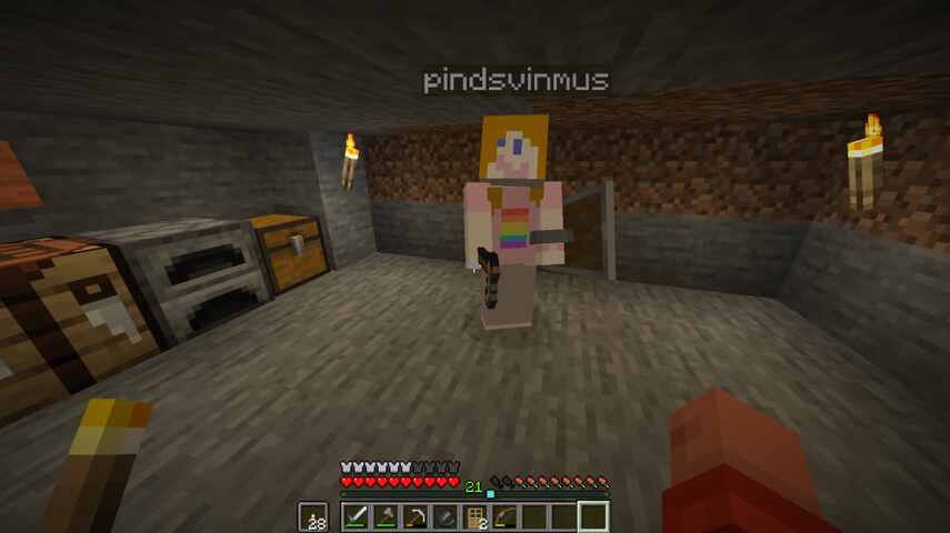 minecraft character of myself as seen from him