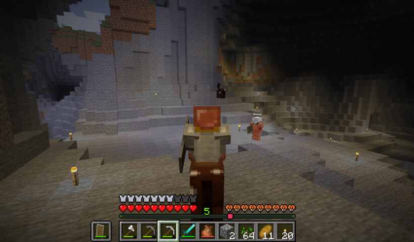 two horses in a cave