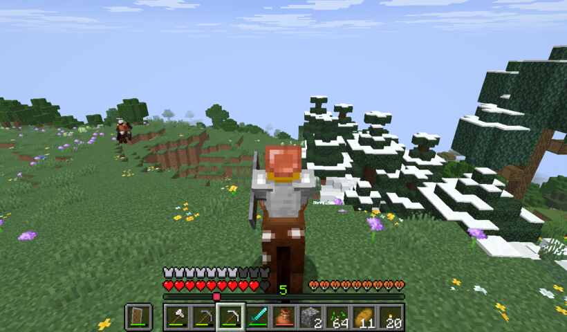 snowy hilltop