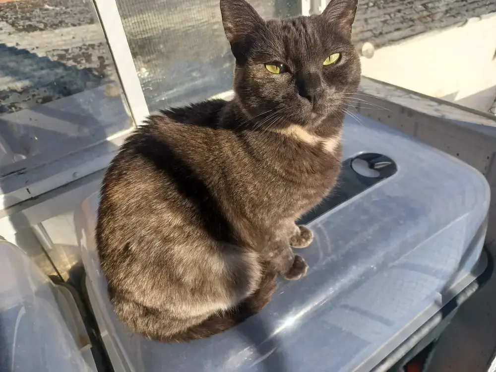 Tine sitting in the sun