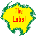 The Labs!