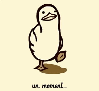 Ce n’est pas un canard.