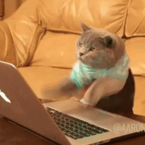 a cat wearing glasses, sitting at a laptop computer, typing furiously