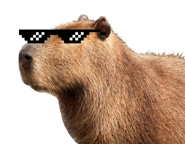 Cool Capybara