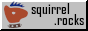"squirrel.rocks"