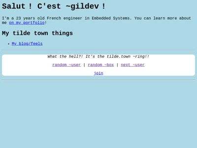 Screenshot of ~gildev