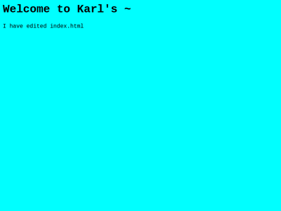 Screenshot of ~karl
