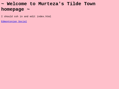 Screenshot of ~murteza
