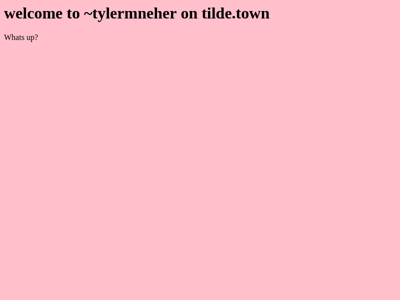 Screenshot of ~tylermneher
