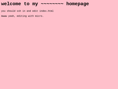 Screenshot of ~whelk