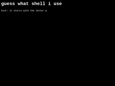 Screenshot of ~zsh