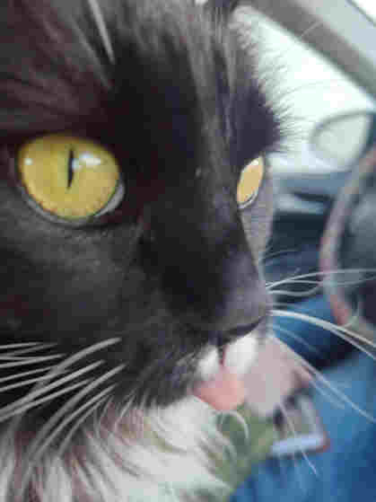 Delilah sticking out her tongue