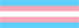 A trans flag : horizontal bands of light blue, pink, white, pink, light blue